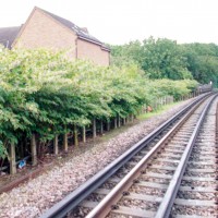 Tube Lines 55